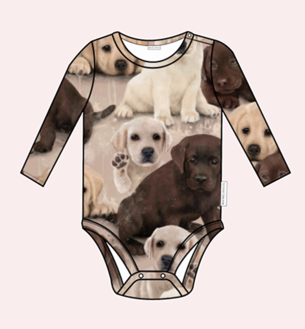 Utu body, Labradorit