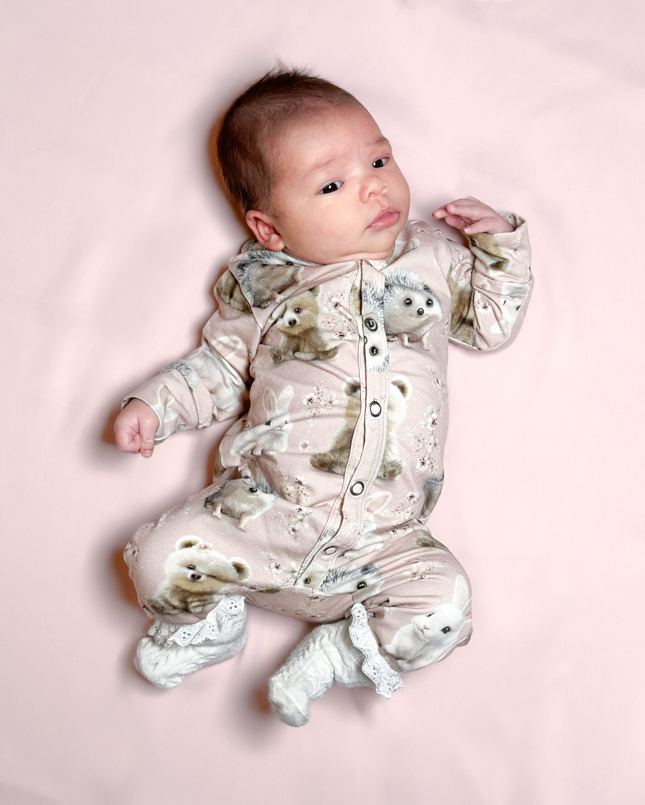 Potkupuku, Tiny friends, powder